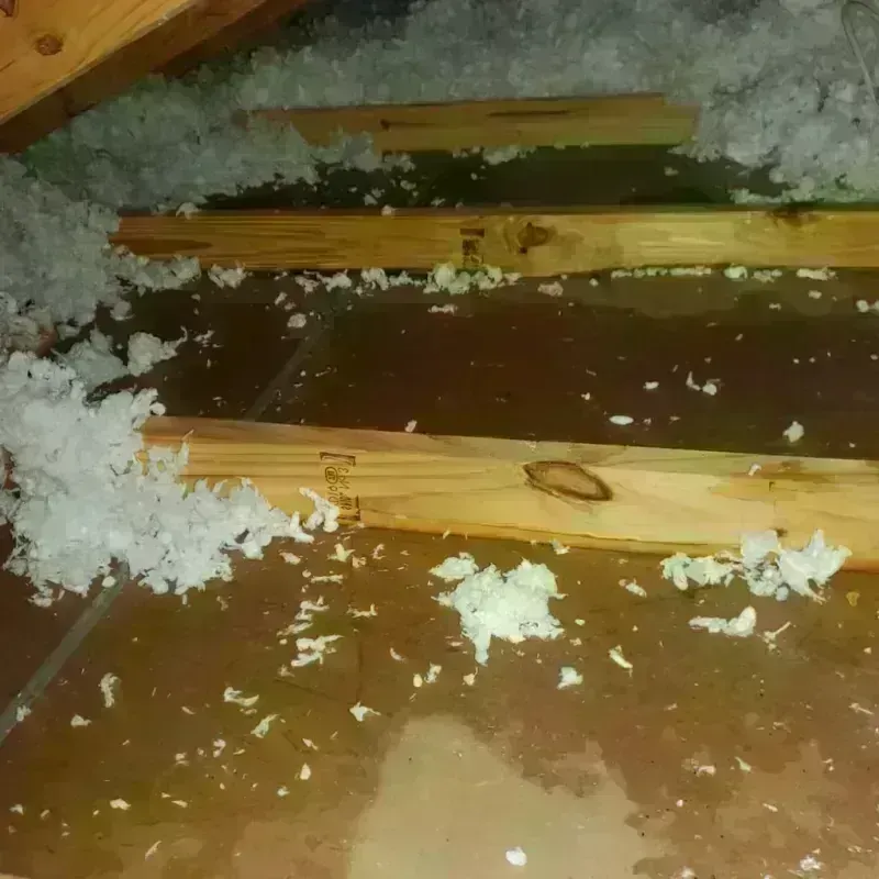 Attic Water Damage in Glendale, NY